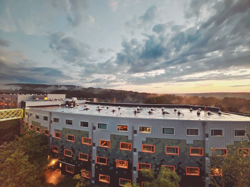 How Carleton University Is Helping Canada Hit Net Zero by 2050