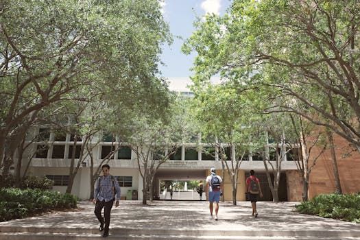 Ontario's International Student Cap Is Hitting Ottawa Colleges Hard