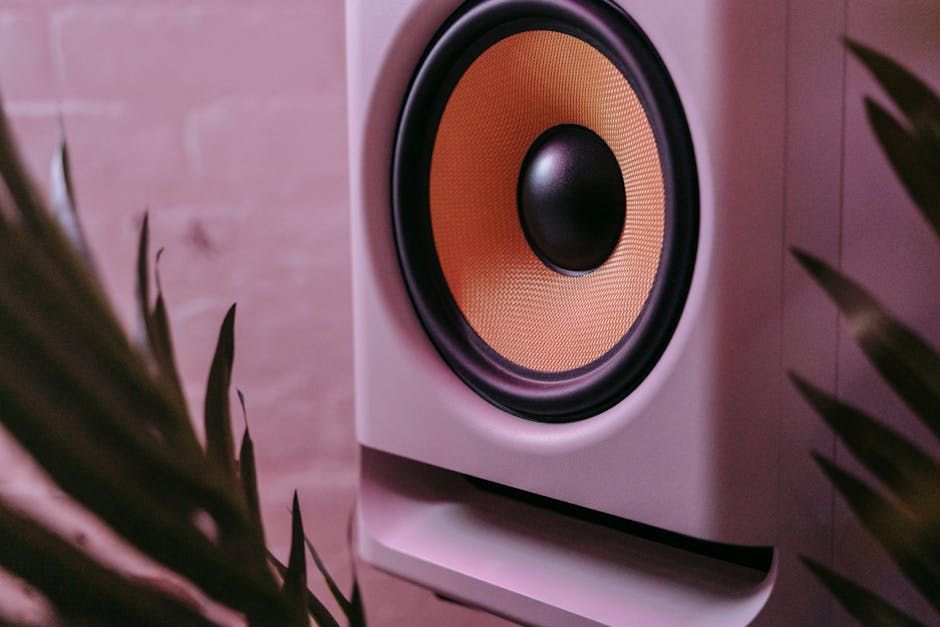 Inside FONO: Ottawa's First Hi-Fi Listening Bar