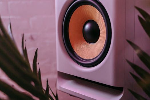 Inside FONO: Ottawa's First Hi-Fi Listening Bar
