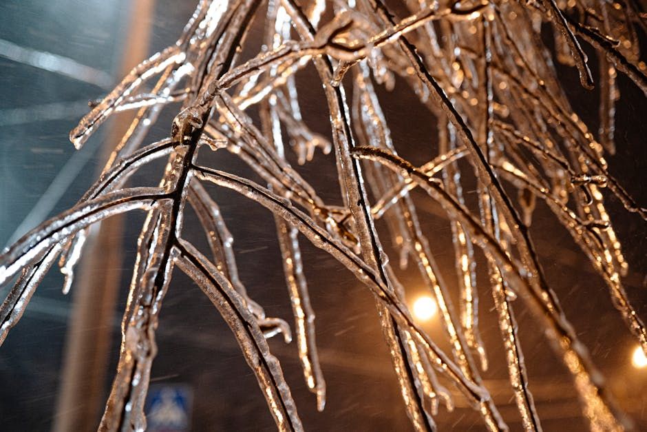 Ottawa Bracing for Up to 24 Hours of Freezing Rain, Officials Warn