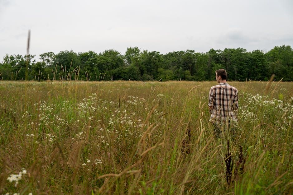 Ottawa Heart Field, AI Anxiety, and RTO4 Stagger: Your Friday Roundup