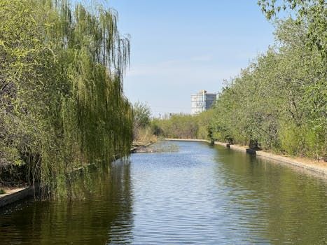 Ottawa Gets a Friday Weather Break After Days of Rain