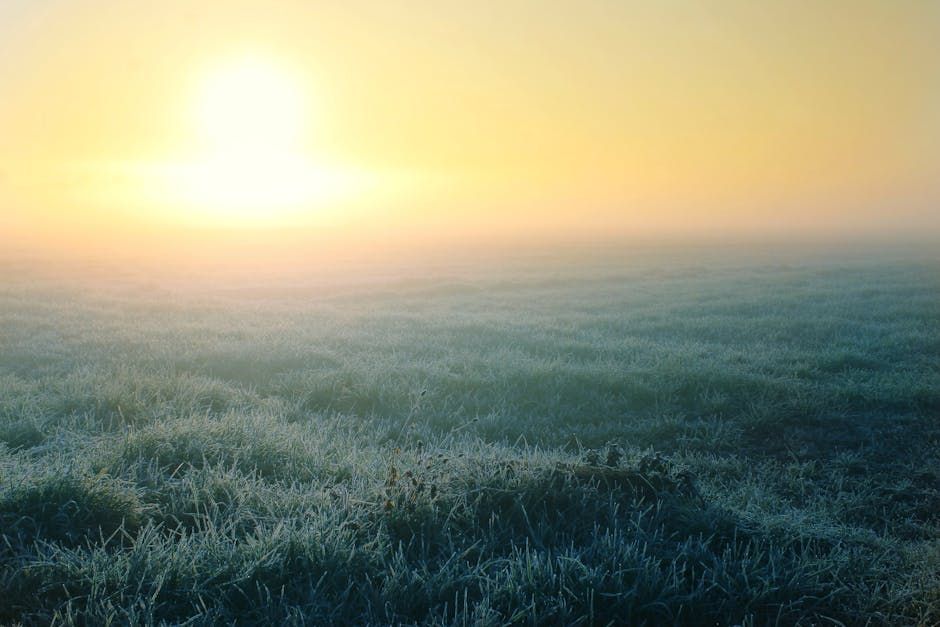 Frost Advisory in Effect for Ottawa and Eastern Ontario