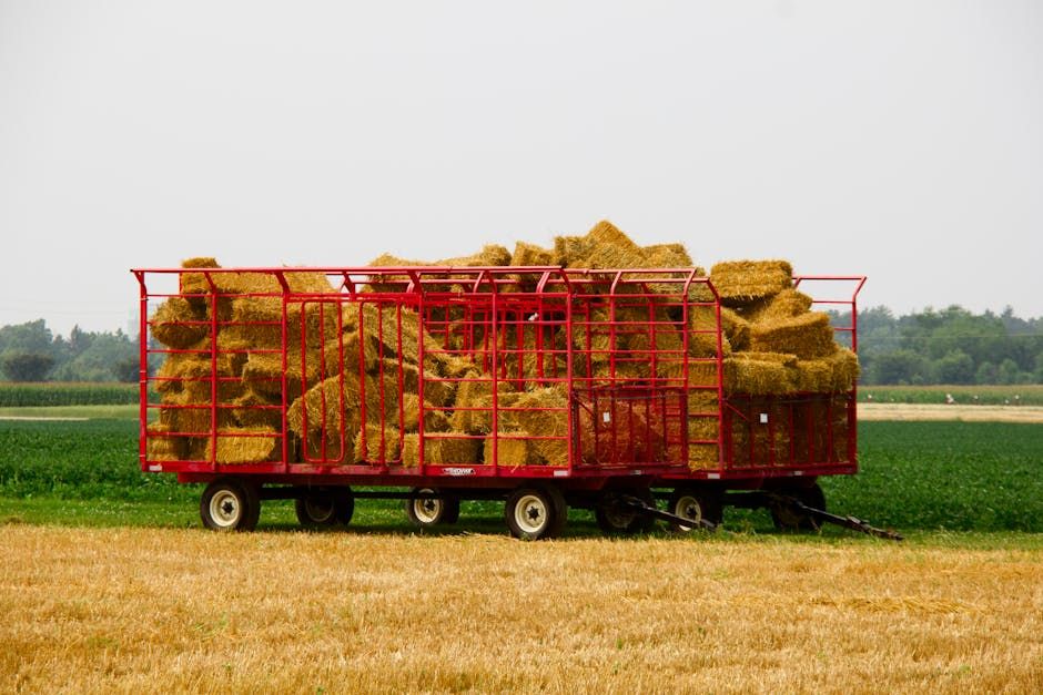 Ottawa Greenbelt Farmers Speak Up as NCC Refreshes Master Plan