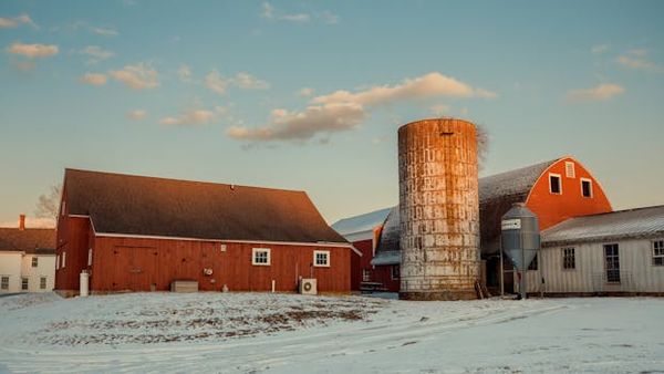 Ottawa's Growcer Is Thriving While the Indoor Farming Sector Shrinks