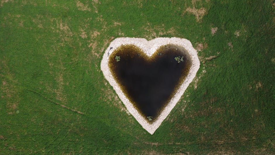 Ottawa Man's Massive Lawn Heart Is Raising Money for the Heart Institute