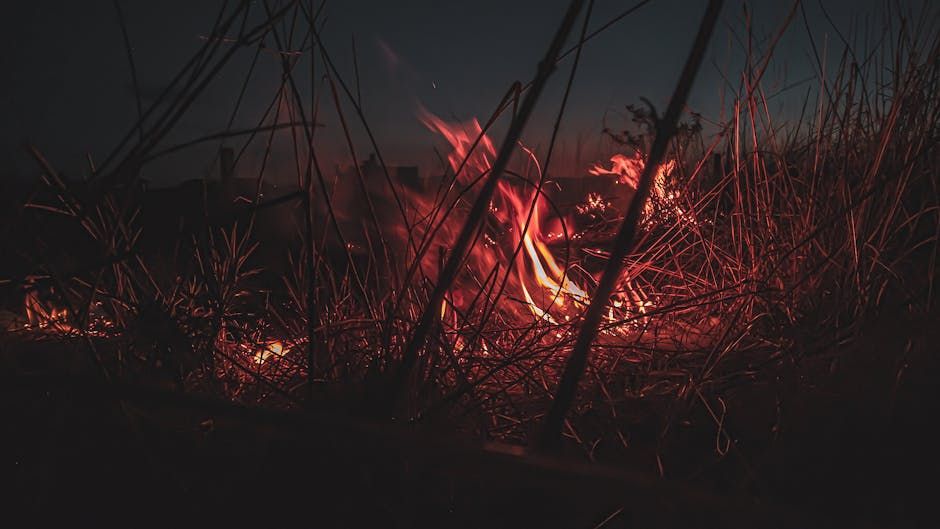 Cigarette Sparks Grass Fire on Hwy. 416, Ottawa OPP Warn Drivers