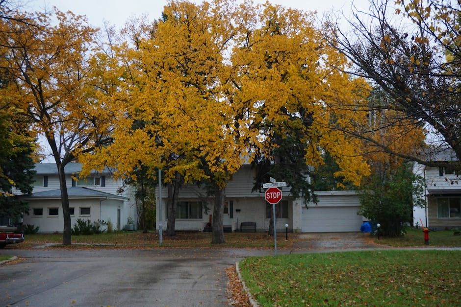 Is the Glebe a good neighbourhood?