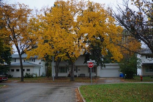 Is the Glebe a good neighbourhood?