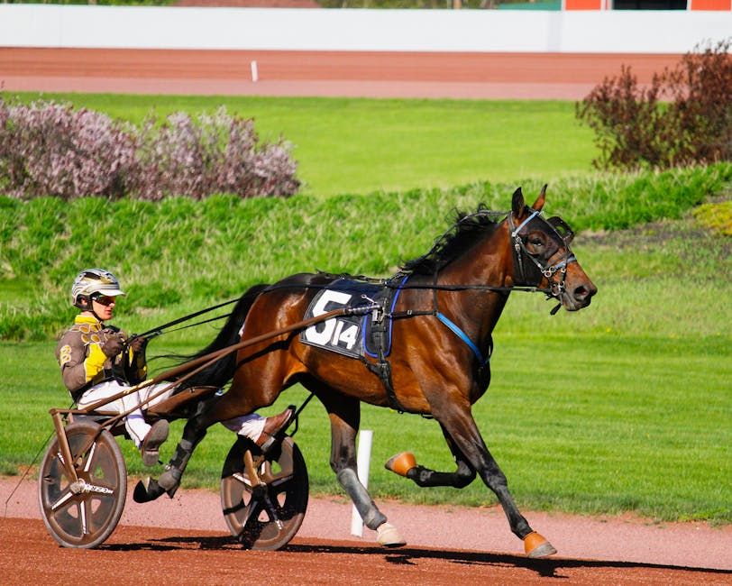 Why Ottawa Racing Fans Are Already Buzzing About the Kentucky Derby