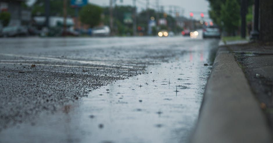 Ottawa's Got a Mild Sunday Ahead — But Keep That Umbrella Handy