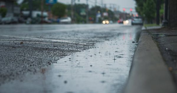 Ottawa's Got a Mild Sunday Ahead — But Keep That Umbrella Handy