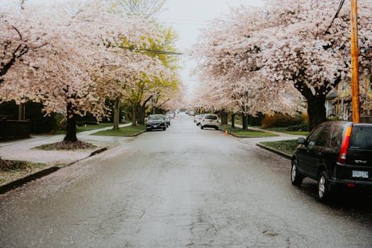 How to Pick the Right Ottawa Neighbourhood for You