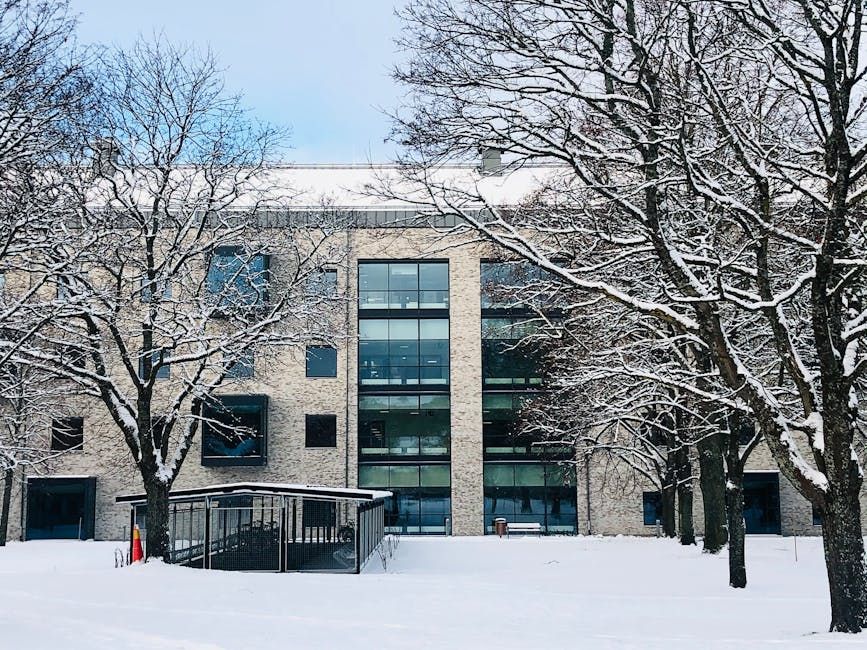 Humber Polytechnic Layoffs Signal Wider Crisis for Ontario Colleges