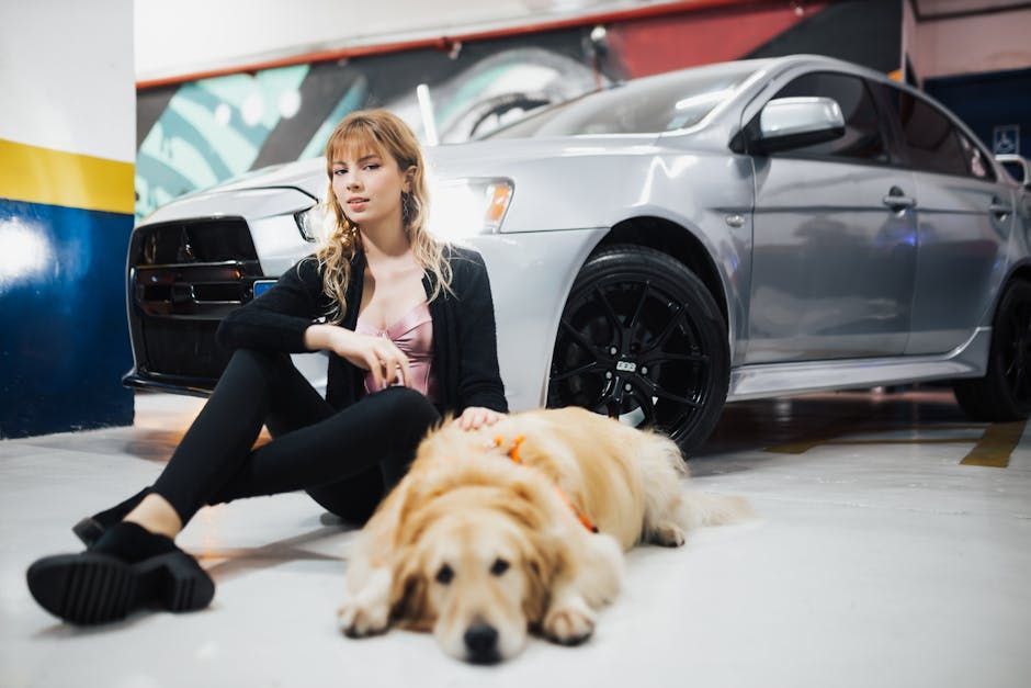 Ontario City Eyes $300 Fines for Pets Left in Hot Cars — Should Ottawa Follow?