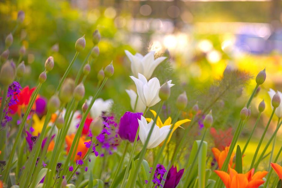 Ottawa Gardeners Take Note: Canada's Updated Plant Hardiness Map Could Change What You Grow