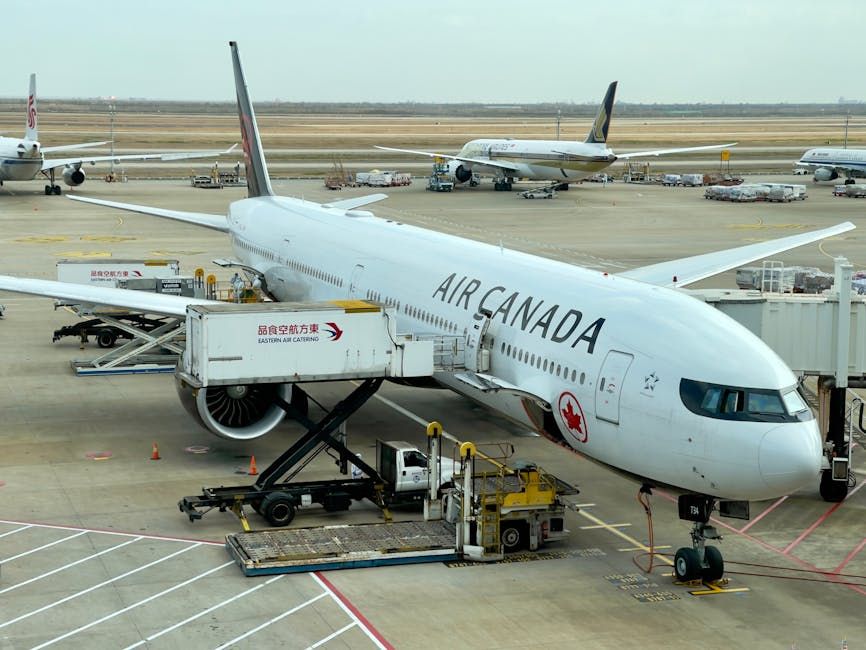 Porter Airlines Is on a Mission to Bring Top Talent to Ottawa