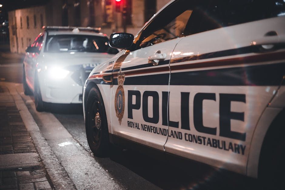 OPP Arrest Ottawa Resident in Major Cybercrime Investigation