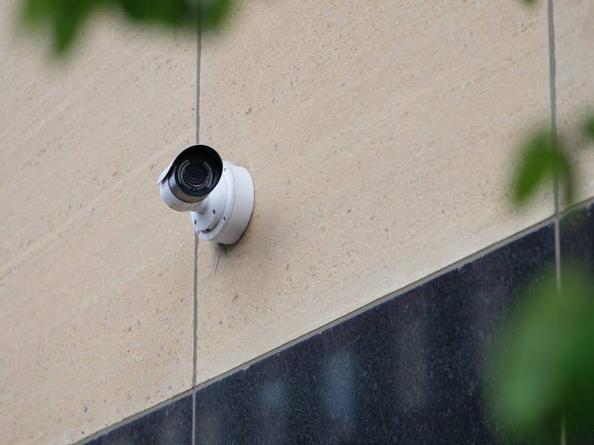 Ottawa Retailers Take Note as Peel Police Bust 65 Repeat Theft Offenders