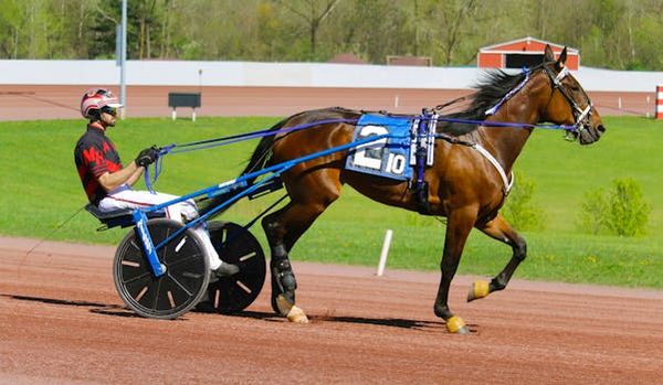 Horse Owners Heartbroken as Rideau Carleton Raceway Closes Its Doors