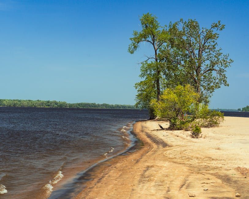 Ottawa Police Warn of Hidden Dangers Lurking in the Ottawa River