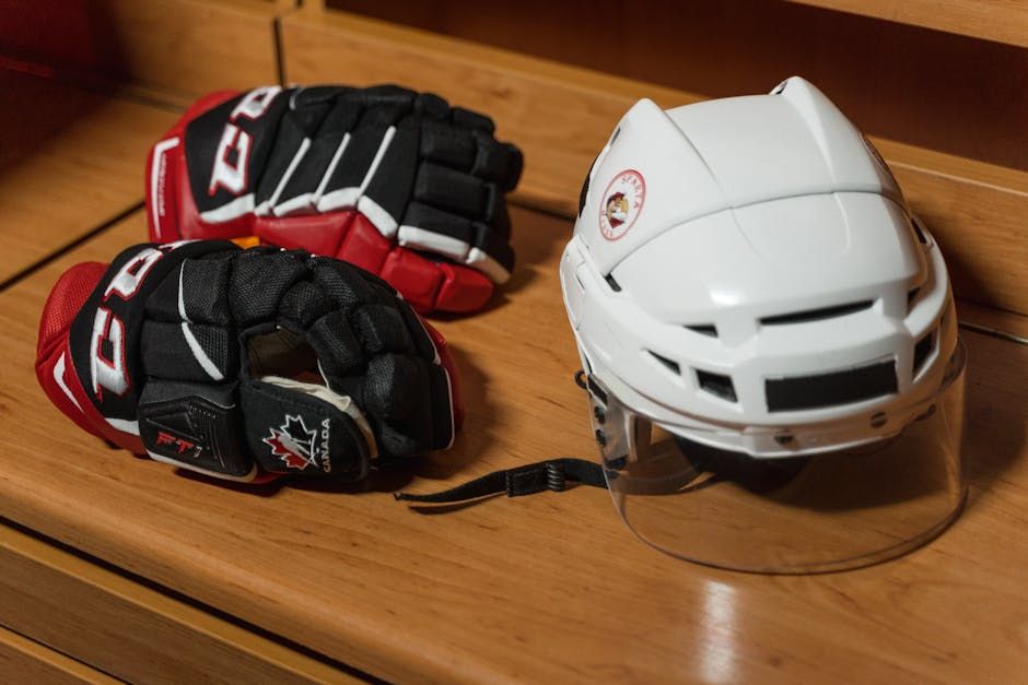 Ottawa Senators Alumni Could Be on the Move as Red Wings Reshape Roster