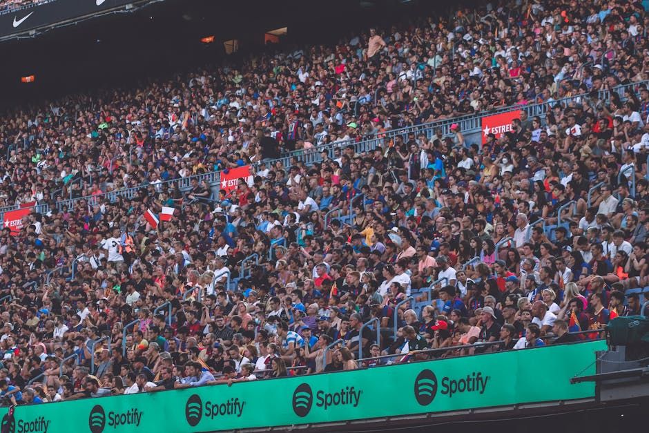 Ottawa Senators' Playoff Fate Set as East Bracket Locks In