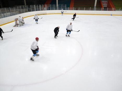 Ottawa Sens Fans Know the Pain: Should the NHL Ditch Offside Review?