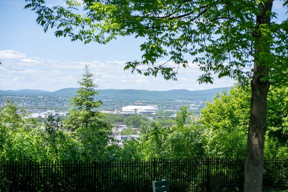 Snider Park: A New Green Space Is Coming to Centretown