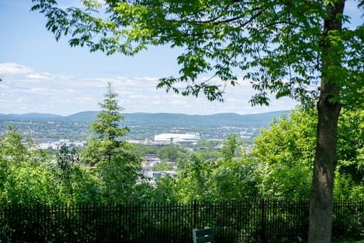 Snider Park: A New Green Space Is Coming to Centretown