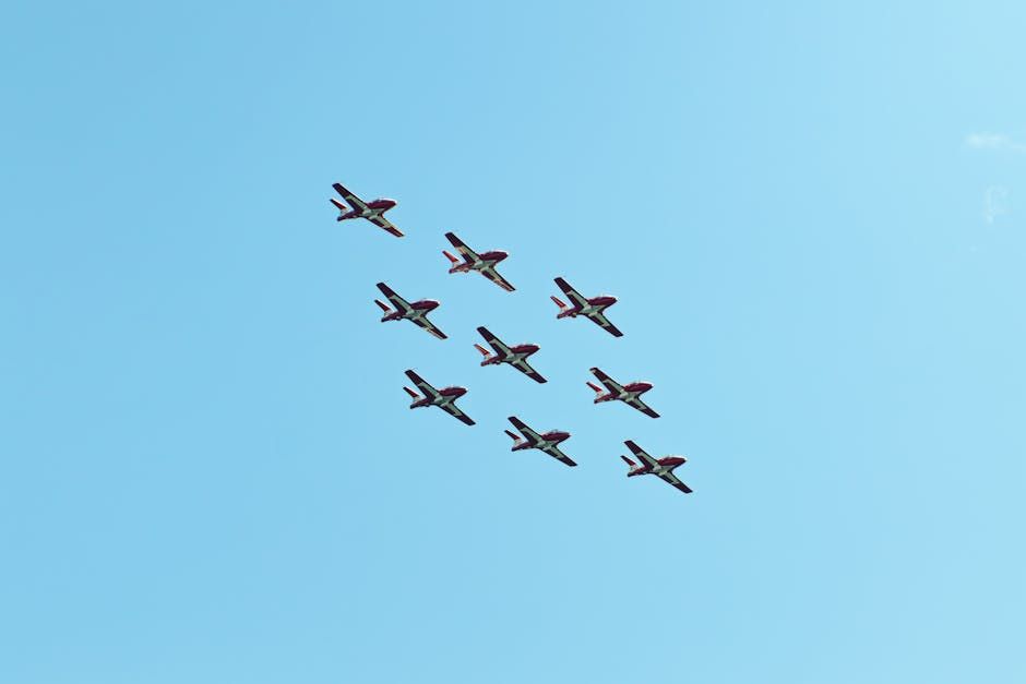 Former Snowbird Pilots Urge Ottawa to Scale Back Show, Not Suspend It