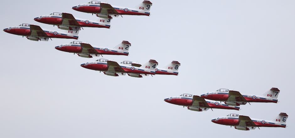 $30M Snowbirds Upgrade Goes Straight to Retirement: What Happens Now?