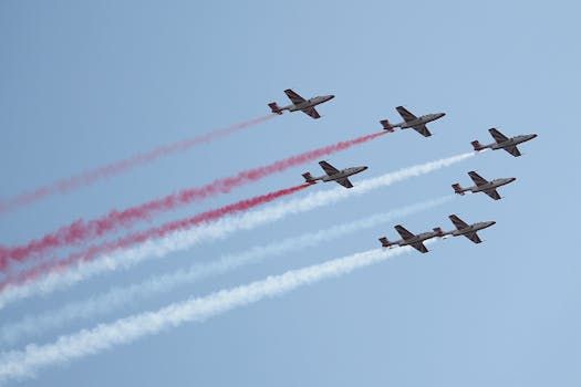 Ottawa Fans: Here's How to Catch the Snowbirds' Final Canadian Show