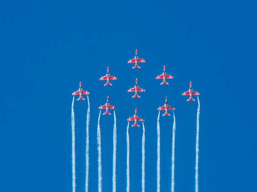 $29M Snowbirds Upgrade Wasted as Jets Face Early Retirement