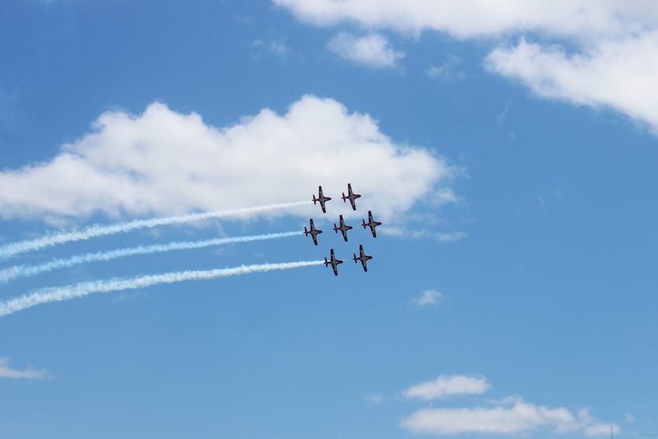 Why Ottawa Readers Say the Snowbirds Are a National Treasure