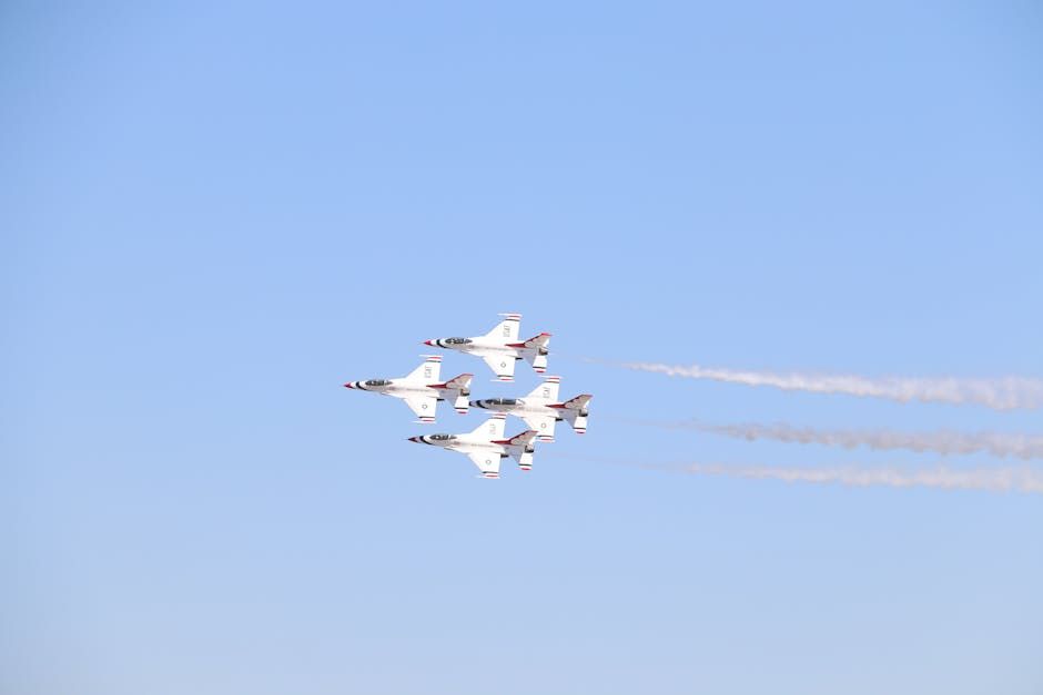 Will Canada Buy New Aircraft for the Snowbirds? Update Coming May 19