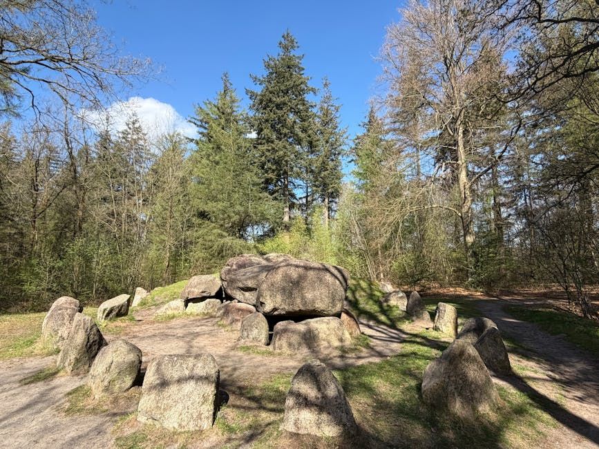'It was like the water cooler': Old Ottawa South's pandemic boulder finally gets its story told