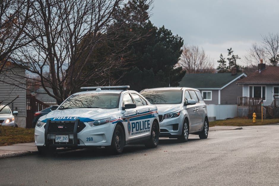 Driver Dies After Vehicle Catches Fire in South Glengarry Ditch
