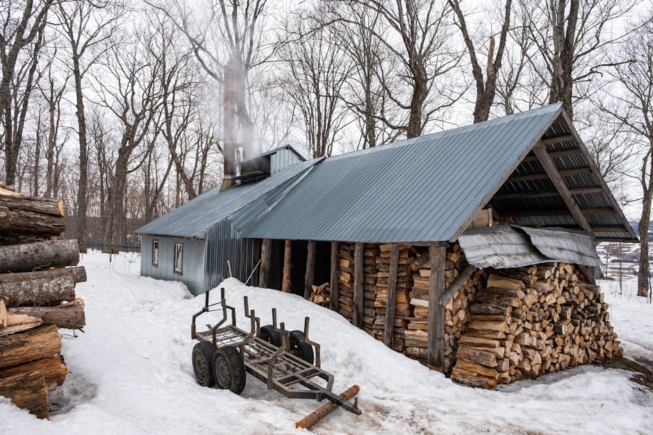 Maple Syrup Season Is Here: Best Sugar Shacks Near Ottawa