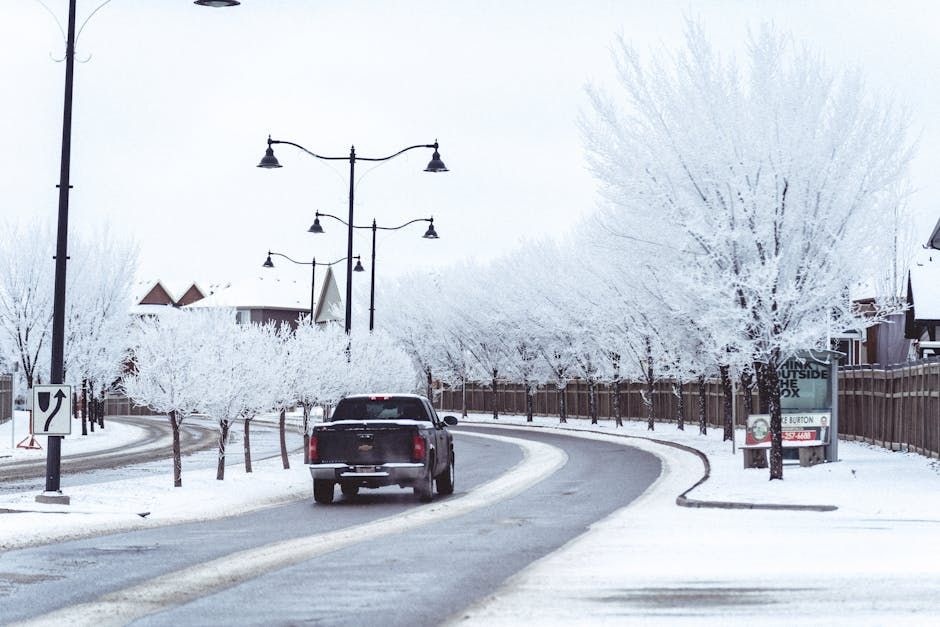 Ottawa's Warm Spell Is Over: Frost Expected Overnight Thursday