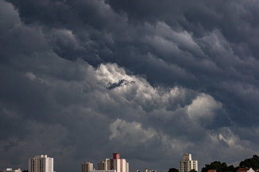 Thunderstorm Watch Issued for Ottawa: Damaging Winds and Hail Possible