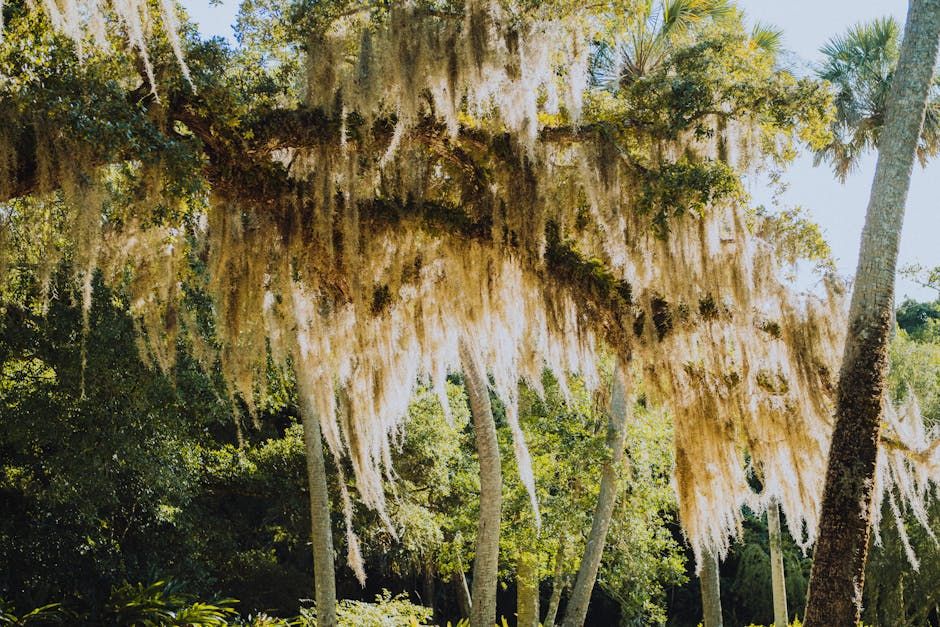 Ottawa Travellers, Here's Why Alabama Deserves a Spot on Your Bucket List