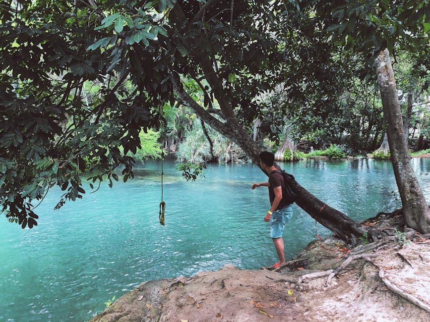 Why Ottawa Travellers Should Add San Antonio to Their Bucket List