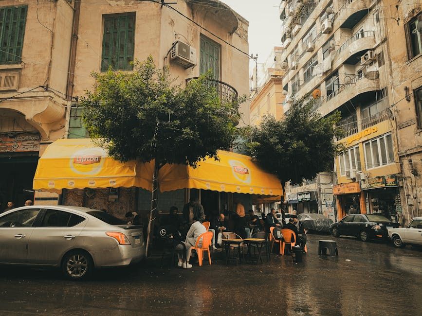 Palestinians Hold Local Elections in West Bank and Gaza