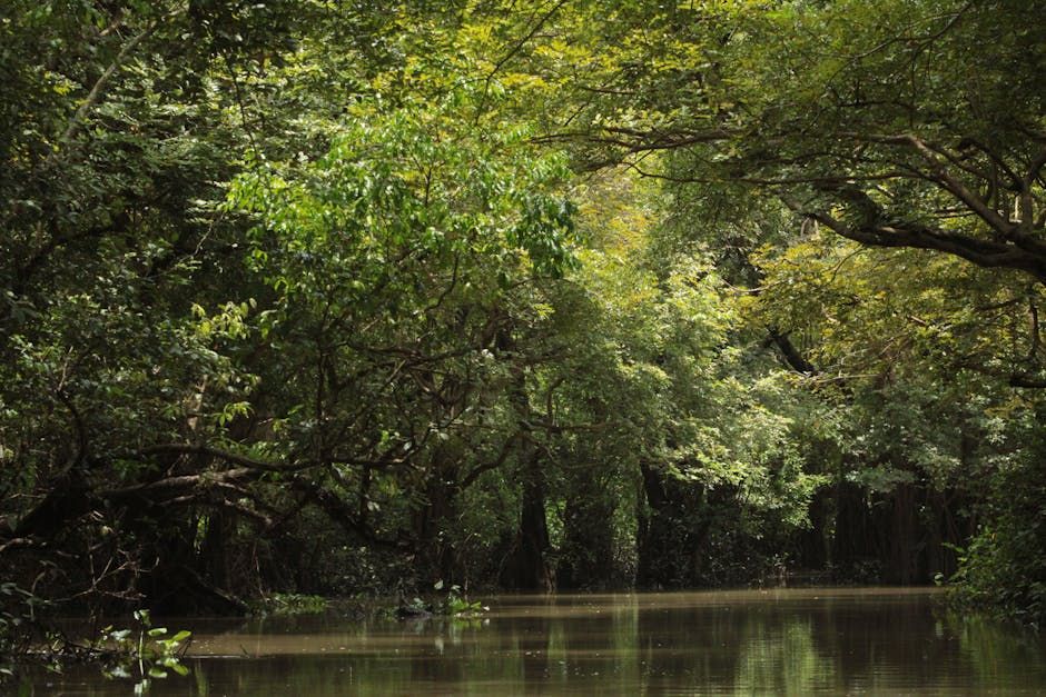 Officer Lowered Into Crocodile-Infested River to Recover Human Remains