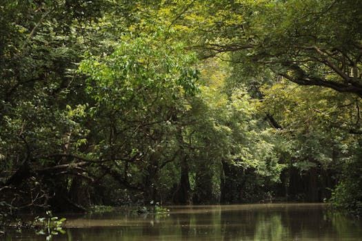 Officer Lowered Into Crocodile-Infested River to Recover Human Remains