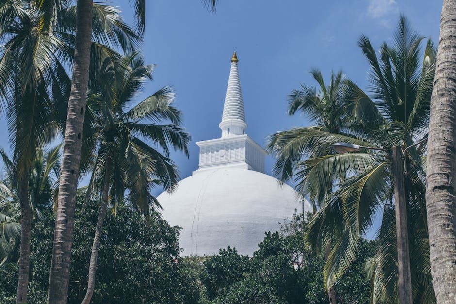 Senior Buddhist Monk Arrested in Sri Lanka Over Alleged Teen Rape