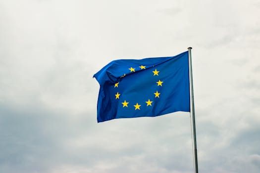 Temu Fined $232M by EU for Failing to Stop Illegal Product Sales