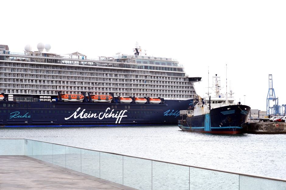 Anger and Resignation in Tenerife as Hantavirus Ship Nears Port